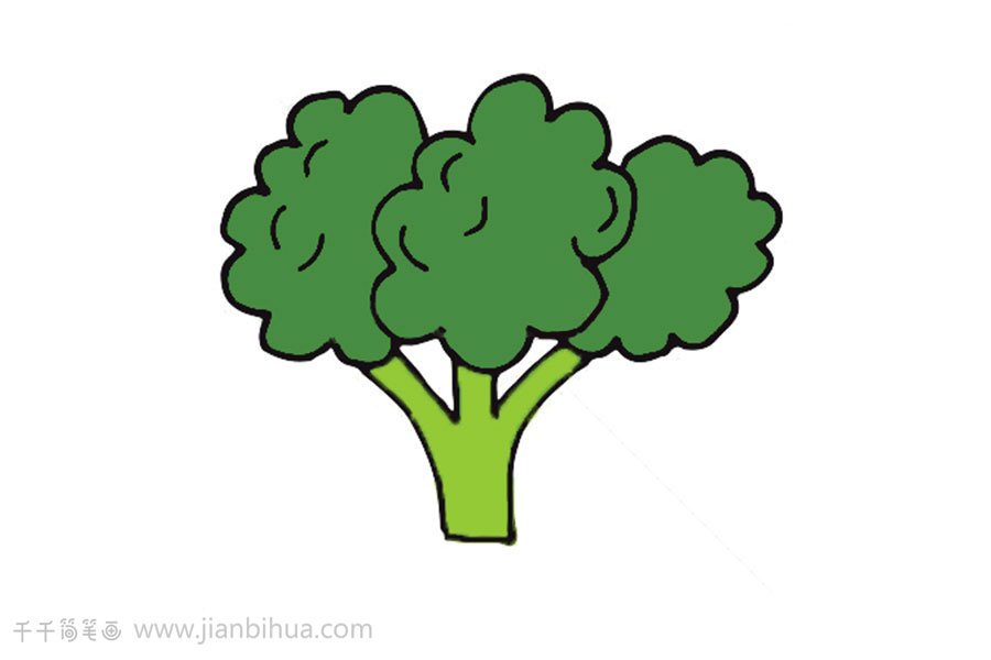 西藍花簡筆畫怎么畫