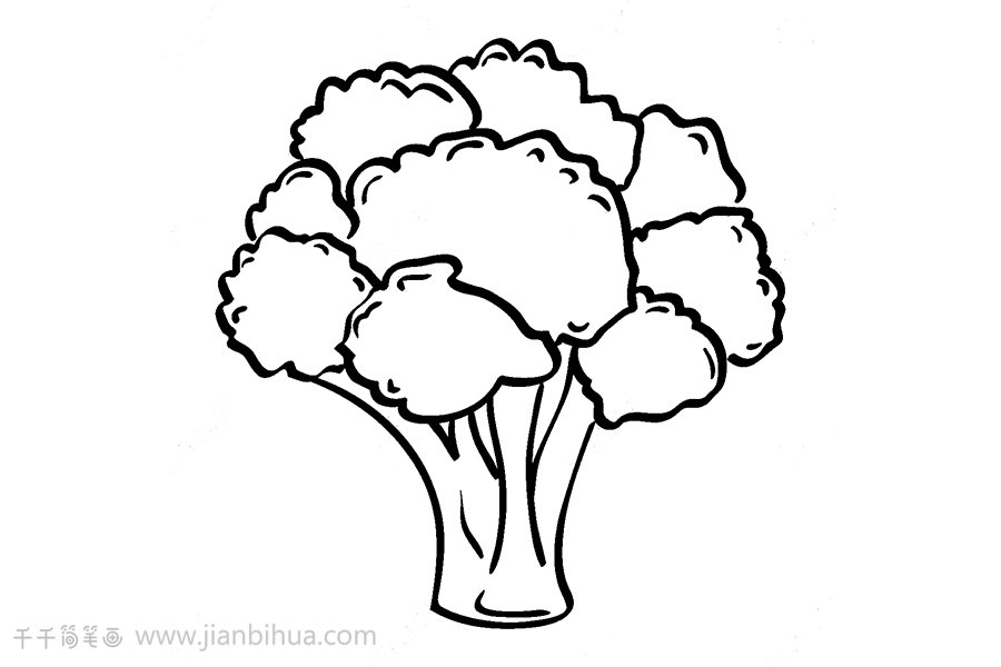 西藍(lán)花簡(jiǎn)筆畫畫法