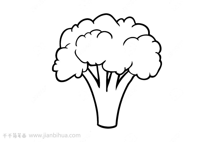 西藍(lán)花實(shí)物照片