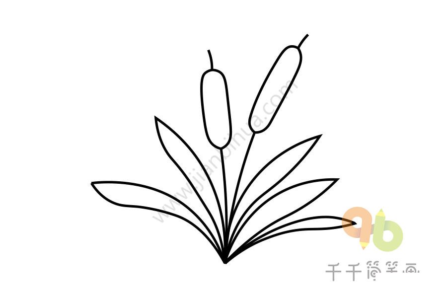 院子里花朵簡(jiǎn)筆畫(huà)2