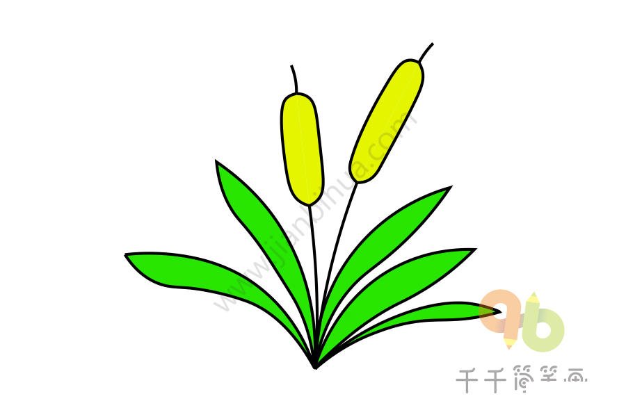 院子里花朵簡(jiǎn)筆畫(huà)1