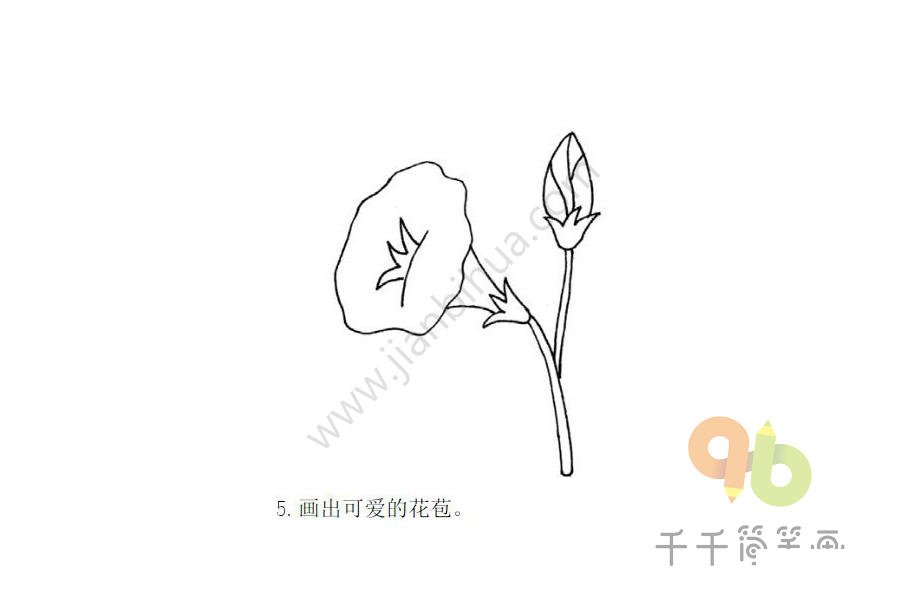 花苞