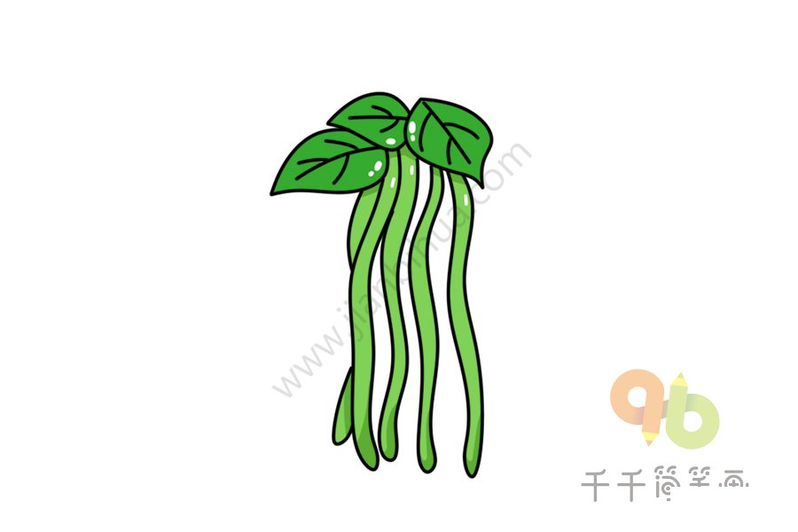 四季豆簡筆畫
