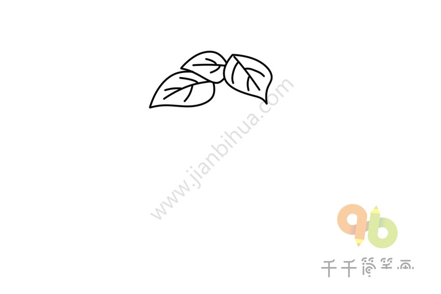 四季豆簡筆畫圖片