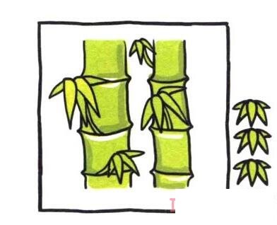 卡通竹子的畫法步驟圖帶顏色簡(jiǎn)單好看