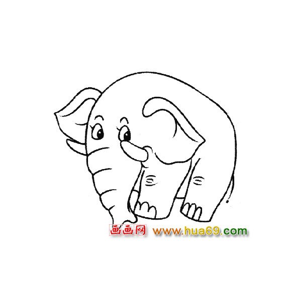 坐在地上的大象簡(jiǎn)筆畫(huà)5