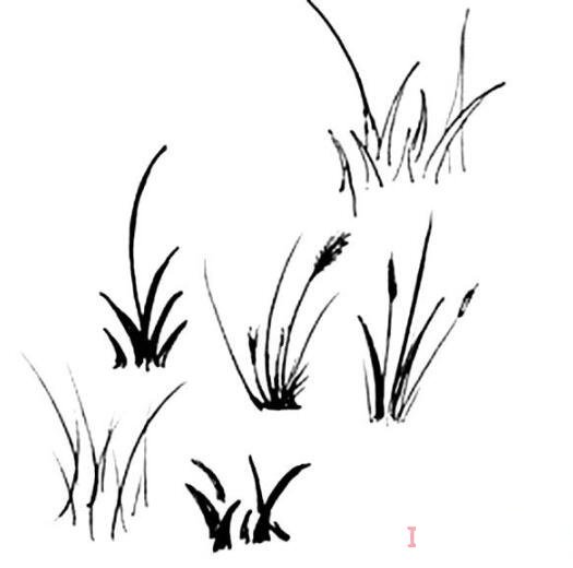 怎么畫(huà)一棵小草簡(jiǎn)筆畫(huà)圖片簡(jiǎn)單好看