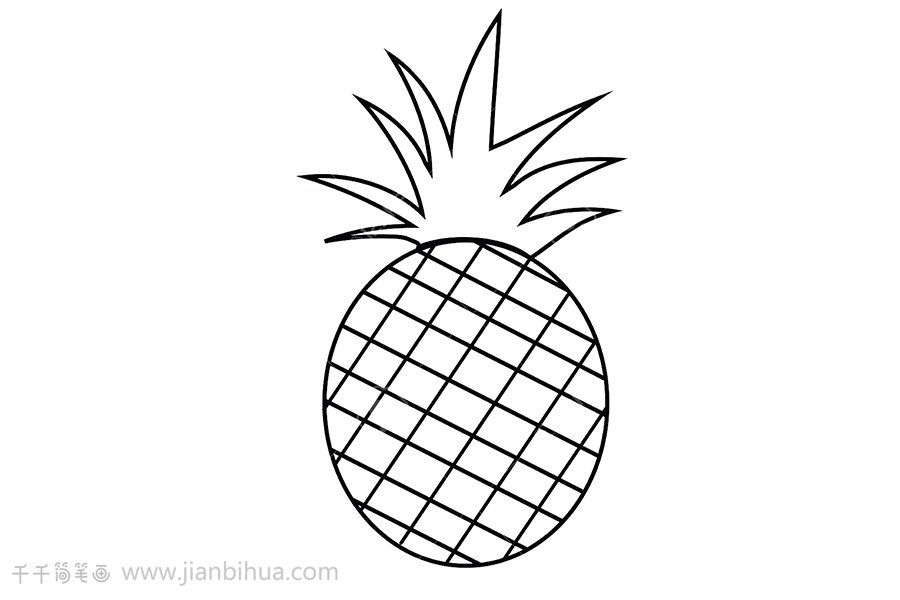 菠蘿簡(jiǎn)筆畫(huà)步驟3