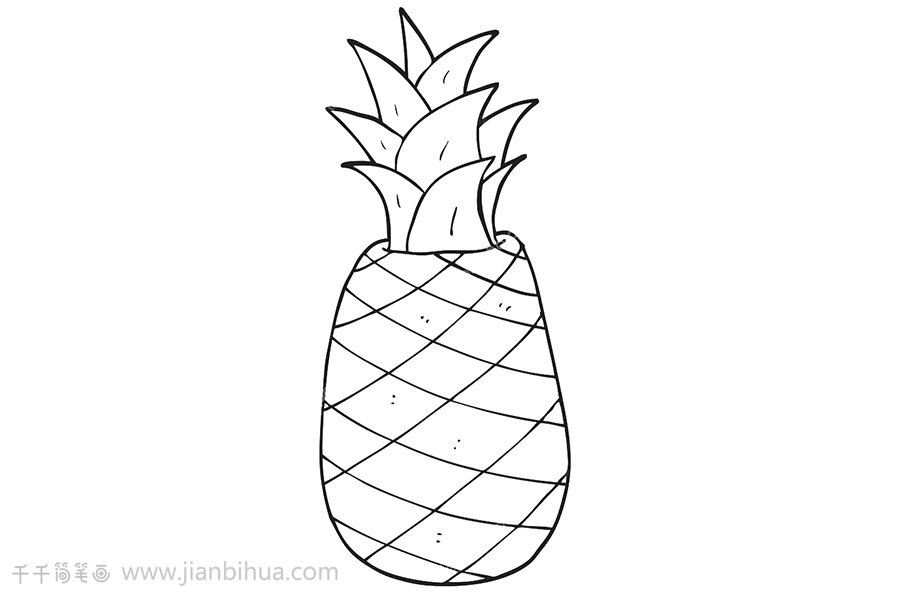 菠蘿簡(jiǎn)筆畫(huà)步驟2