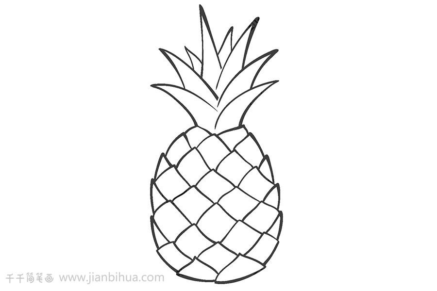 菠蘿簡(jiǎn)筆畫(huà)步驟1