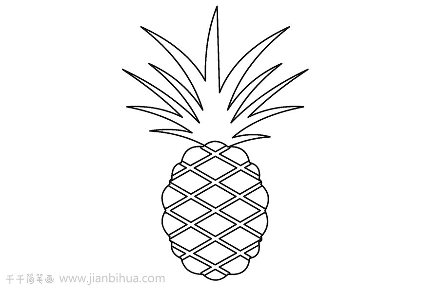 菠蘿簡(jiǎn)筆畫(huà)步驟5