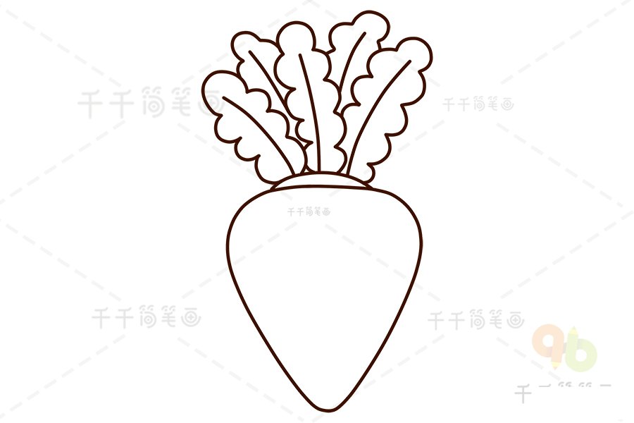 蘿卜主體繪制