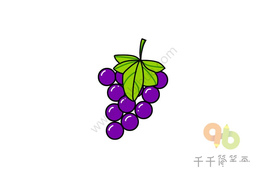 葡萄簡筆畫示例