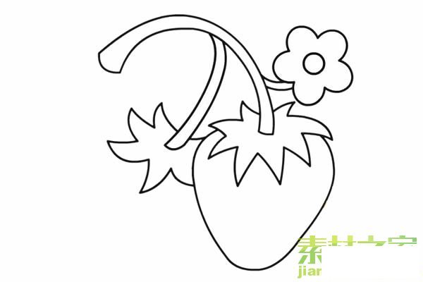 草莓簡筆畫圖片