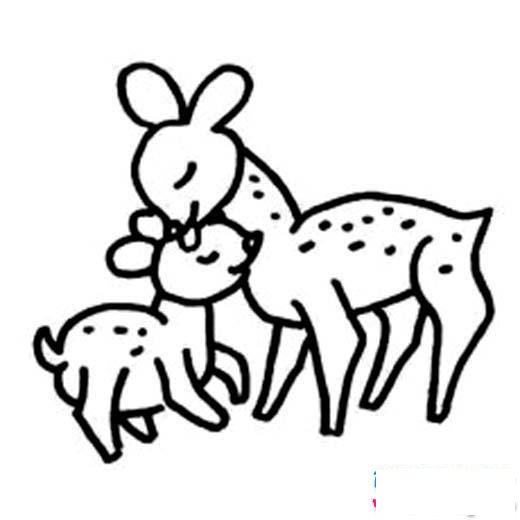 小學生簡筆畫鹿圖片：鹿媽媽與小鹿