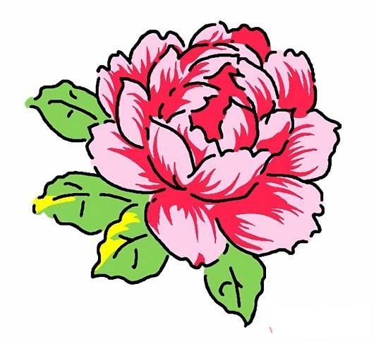 帶顏色的牡丹花簡筆畫圖片大全