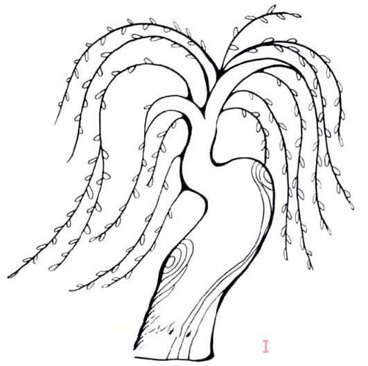 柳樹飄揚(yáng)畫法簡筆畫教程簡單好看