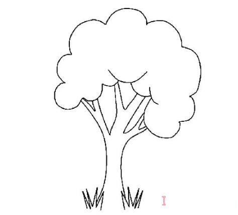 簡(jiǎn)筆畫大樹怎么畫圖解簡(jiǎn)單好看