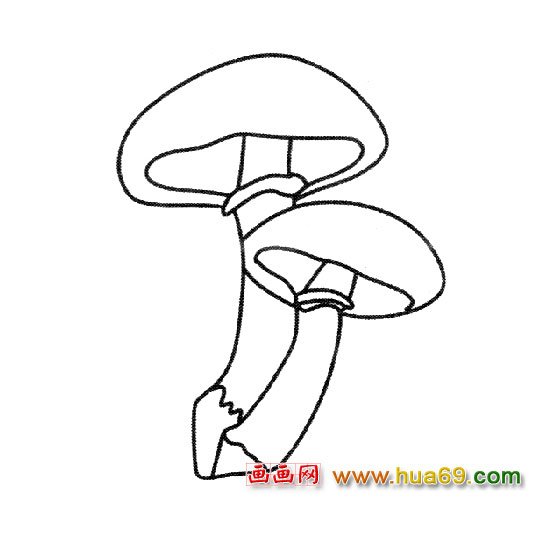 簡筆畫:漂亮的蘑菇2