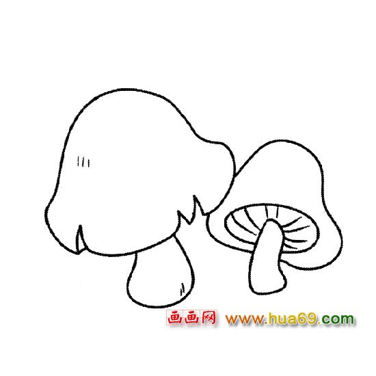 蘑菇│蔬菜簡(jiǎn)筆畫1