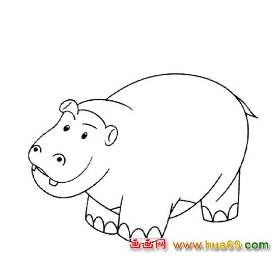 河馬【動物簡筆畫】3