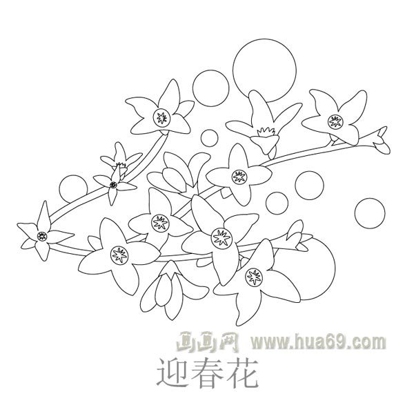 兒童簡筆畫：迎春花開放