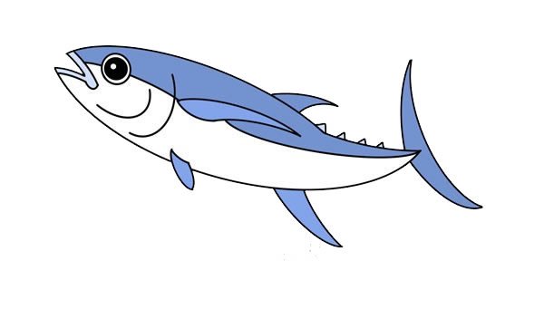 金槍魚簡筆畫的畫法步驟圖
