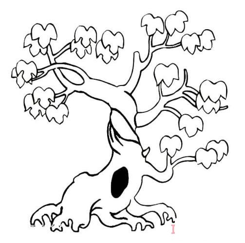 怎么畫一棵大樹簡筆畫圖片簡單易學(xué)