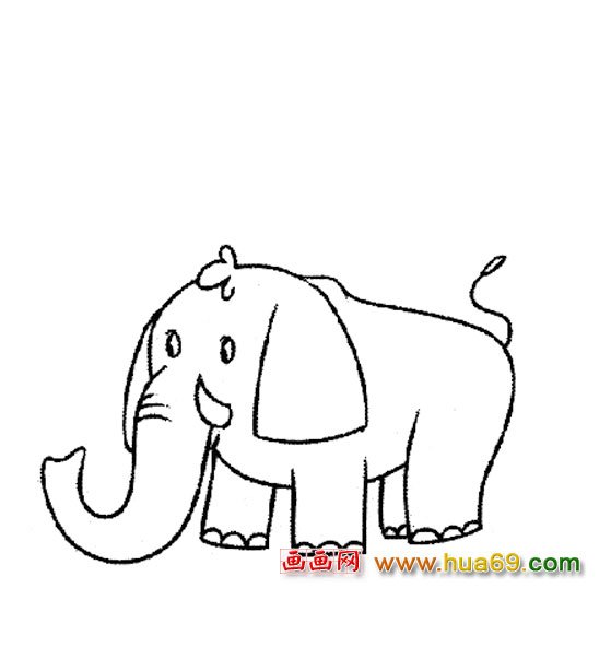 動(dòng)物插畫│大象