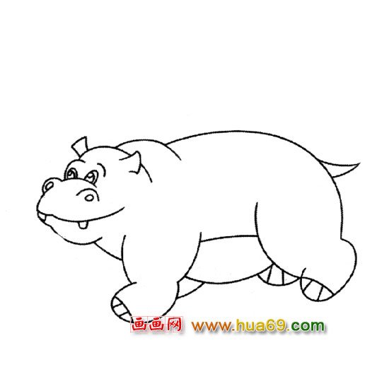 走路的河馬【簡(jiǎn)筆畫】2