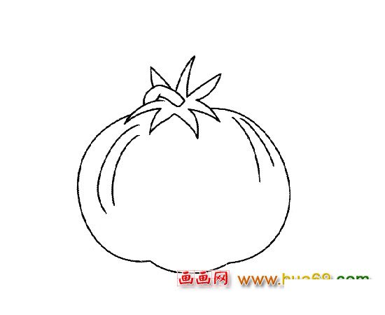簡筆畫│好吃的西紅柿1