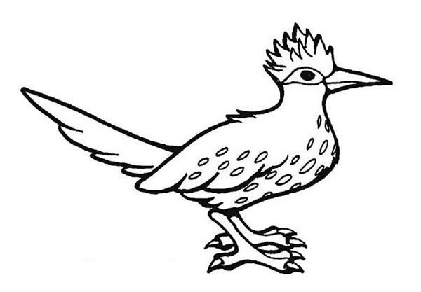 小鳥簡(jiǎn)筆畫圖片大全_超簡(jiǎn)單的鳥兒簡(jiǎn)筆畫圖片素材