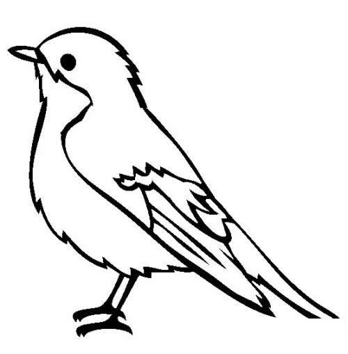小鳥簡(jiǎn)筆畫圖片大全_超簡(jiǎn)單的鳥兒簡(jiǎn)筆畫圖片素材