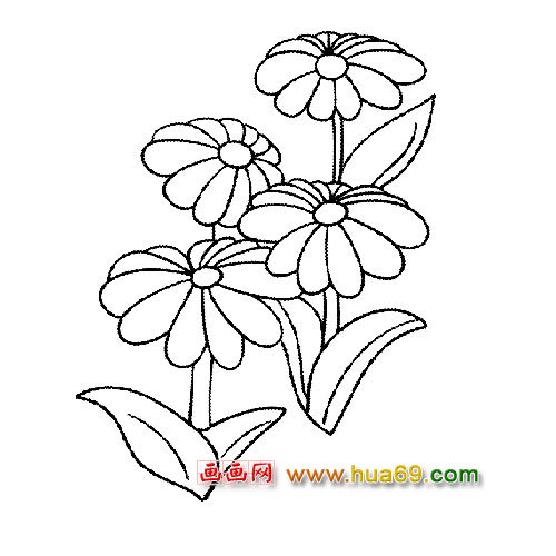 四朵菊花簡(jiǎn)筆畫(huà)