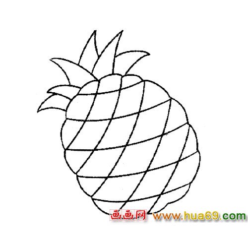 水果簡筆畫：菠蘿4