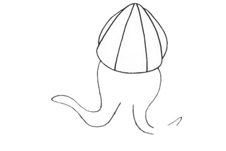 烏賊簡(jiǎn)筆畫圖片