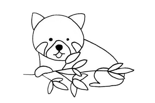 小熊貓簡(jiǎn)筆畫圖片