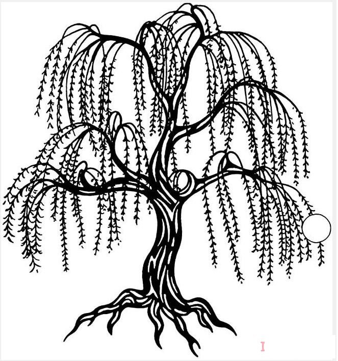 春天垂柳樹發(fā)芽怎么畫素描簡(jiǎn)單漂亮