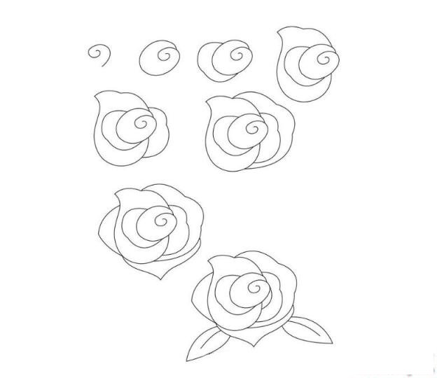 簡(jiǎn)筆畫(huà)好看的玫瑰花的具體畫(huà)法步驟圖片教程