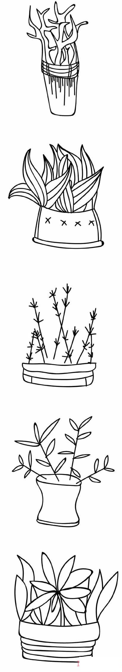 一組綠植盆栽怎么畫(huà)簡(jiǎn)潔 盆栽簡(jiǎn)筆畫(huà)圖片