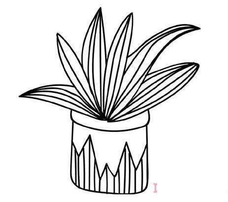一組綠植盆栽怎么畫(huà)簡(jiǎn)潔 盆栽簡(jiǎn)筆畫(huà)圖片