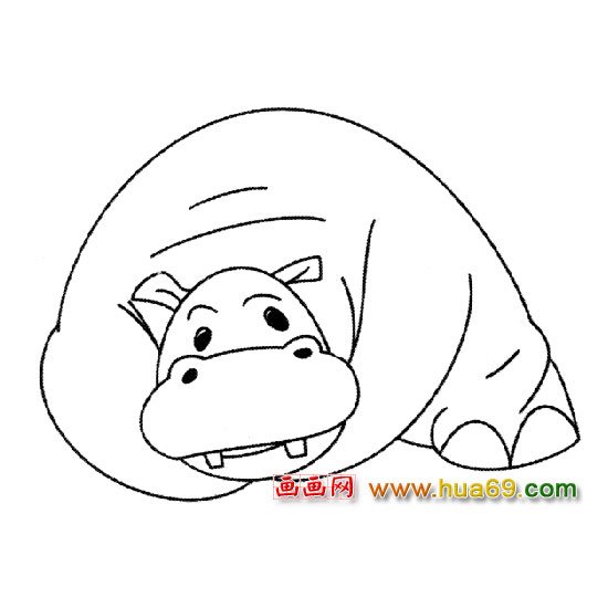 河馬【動物簡筆畫】2