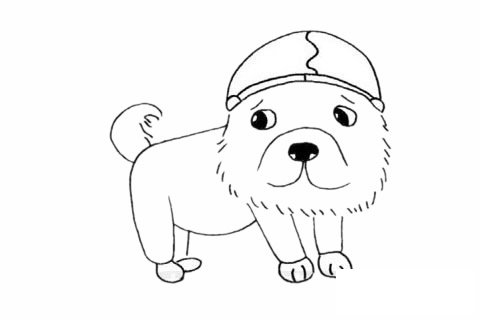 松獅犬簡筆畫圖片