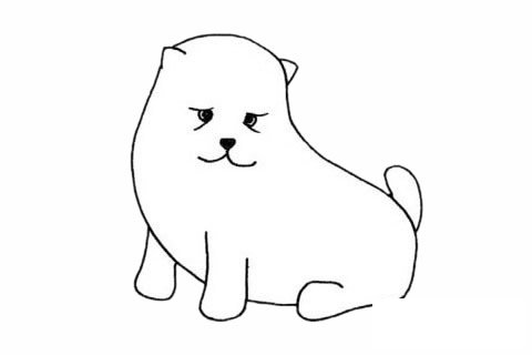 松獅犬簡筆畫圖片