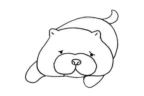 松獅犬簡筆畫圖片