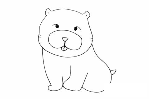 松獅犬簡筆畫圖片