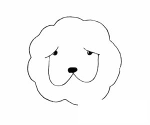 松獅犬簡筆畫圖片