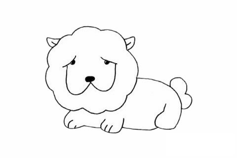 松獅犬簡筆畫