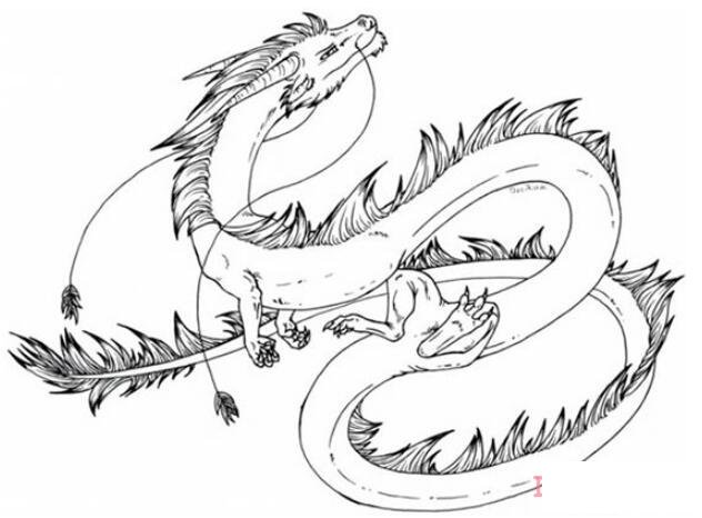 中國(guó)龍?jiān)趺串?huà)好看易學(xué) 中國(guó)龍簡(jiǎn)筆畫(huà)圖片