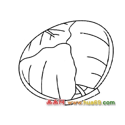 簡(jiǎn)筆畫：新鮮的大白菜4